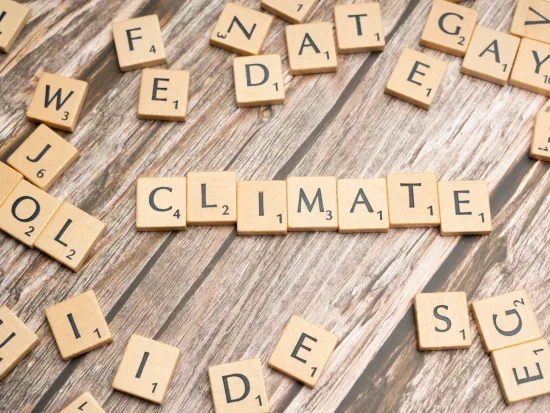 COP 30:Spotting and countering narrative of climate delay